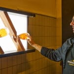 bohemia sekt – 010