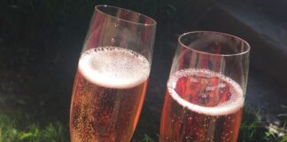 Dny v růžovém opět vítají jaro. Soutěž Jarovín 2024 odstartovala oslavy bublinek a rosé růžový sekt ve sklenici přípitek