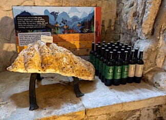 Na víno „s dinosaury“. Novinky z vinařství Amonit pokřtily premiéru atraktivního prohlídkového okruhu v lednickém podzemí fosilie a lahve Amonit