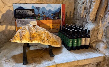 Na víno „s dinosaury“. Novinky z vinařství Amonit pokřtily premiéru atraktivního prohlídkového okruhu v lednickém podzemí fosilie a lahve Amonit