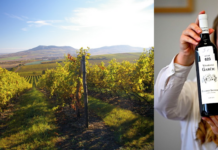 Levý versus pravý břeh. Moravský vinařský Wimbledon vyhrála vinařství Vajbar a Garčic Vítězné víno Vinařských trhů Valtice