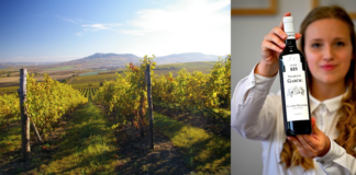 Levý versus pravý břeh. Moravský vinařský Wimbledon vyhrála vinařství Vajbar a Garčic Vítězné víno Vinařských trhů Valtice