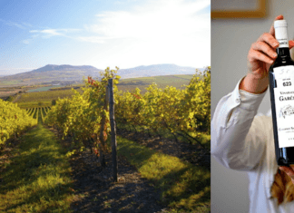 Levý versus pravý břeh. Moravský vinařský Wimbledon vyhrála vinařství Vajbar a Garčic Vítězné víno Vinařských trhů Valtice