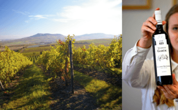 Levý versus pravý břeh. Moravský vinařský Wimbledon vyhrála vinařství Vajbar a Garčic Vítězné víno Vinařských trhů Valtice