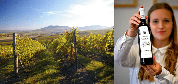 Levý versus pravý břeh. Moravský vinařský Wimbledon vyhrála vinařství Vajbar a Garčic Vítězné víno Vinařských trhů Valtice