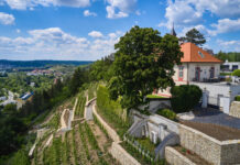 POKLADY SE OTEVÍRAJÍ aneb PUTOVÁNÍ PO PRAŽSKÝCH VINICÍCH 2025. Procházky, přednášky i ochutnávky