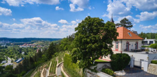 POKLADY SE OTEVÍRAJÍ aneb PUTOVÁNÍ PO PRAŽSKÝCH VINICÍCH 2025. Procházky, přednášky i ochutnávky