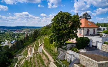 POKLADY SE OTEVÍRAJÍ aneb PUTOVÁNÍ PO PRAŽSKÝCH VINICÍCH 2025. Procházky, přednášky i ochutnávky
