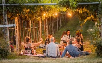 Okolím Verony za vínem i zážitky. Valpolicella láká k návštěvám vinařství, farmem i honosných vil piknik ve vinohradu