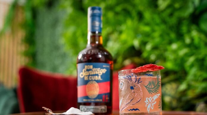 COCKATOO. Daiquiri s českou stopou lahev rumu a koktejl