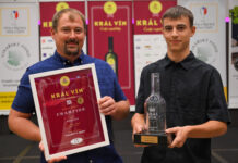 Král vín a stupně vítězů 2024. Hlavní „korunka“ patří Merlotu z vinařství Kern Absolutní šampion Krále vín