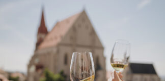 Znojemské kulturní léto nabízí pestrou paletu zážitků