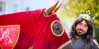 JUBILEJNÍCH 40. Znojemské historické vinobraní oslavuje čtyřicátiny ve znamení tradic i atraktivních novinek