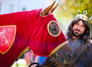 JUBILEJNÍCH 40. Znojemské historické vinobraní oslavuje čtyřicátiny ve znamení tradic i atraktivních novinek