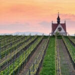 Kaiserstuhl, Schwarzwald, Baden-Württemberg, Deutschland – Endingen Am Kaiserstuhl among vineyards 07-Kaiserstuhl-Kaple-na-vinici-©-DZTFrancesco-Carovillano