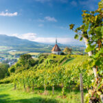 12-Freiburg-Vinohrady-v-Ehrenstetten-s-kapli-Olbergkapelle-©-DZTFrancesco-Carovillano