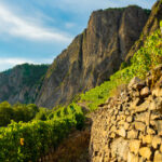 Weinberge am Rotenfels Bad Muenster am Stein-Ebernburg, Rheinland-Pfalz, Deutschland