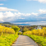 Hessische Bergstraße, Bensheim