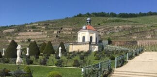 Vinice v Německu. Objevujte krásná vína i půvabnou vinařskou krajinu