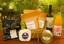 BIOVÍNO ROKU: Chardonay 2023 z Vinařství Čech. Perla z kraje zdobných krojů a bohatého folklóru, z moravsko-slováckých Tvrdonic