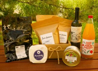 BIOVÍNO ROKU: Chardonay 2023 z Vinařství Čech. Perla z kraje zdobných krojů a bohatého folklóru, z moravsko-slováckých Tvrdonic