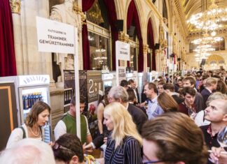 Úspěchy z Vídně. Piálek & Jäger nejlepší národní producent. Zlato pro 99 vín