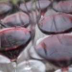 ENDRIZZI_MG_3710-Copia