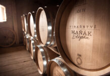 Štěpán Maňák, Gotberg, Vinařství rodiny Špalkovy. Vinařství roku 2024 vyhlásilo vítěze