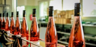 Cena Svatomartinských vín zůstává a už jsou tady