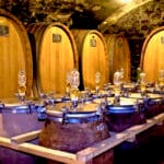 moderní výroba oranžových vín Forradori DSC_2782