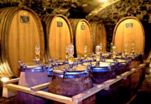 OIV přichází s první bilancí vinařského roku 2024. Vinaři čelí stále větší nejistotě