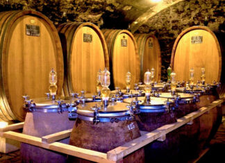 OIV přichází s první bilancí vinařského roku 2024. Vinaři čelí stále větší nejistotě