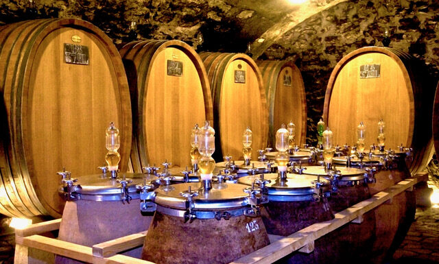 OIV přichází s první bilancí vinařského roku 2024. Vinaři čelí stále větší nejistotě