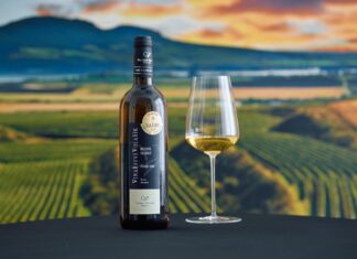 Jubilejní Salon vín 2025 zná vítěze. Volaříkův Ryzlink vlašský 2022 nejlepším vínem roku