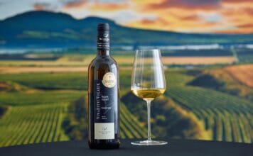 Jubilejní Salon vín 2025 zná vítěze. Volaříkův Ryzlink vlašský 2022 nejlepším vínem roku