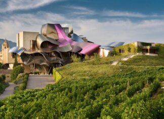 Výjimečná architektura, skvělá vína, umění či jízdy na koních. WORLD’S BEST VINEYARDS 2024