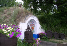 Sauvignon z Milotic u Kyjova zvítězil mezi nejlepšími víny na Slovácku