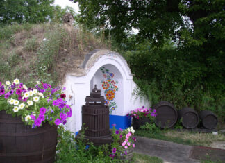 Sauvignon z Milotic u Kyjova zvítězil mezi nejlepšími víny na Slovácku