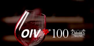 Organizace pro révu a víno OIV oslavila 100 let. Do další stovky vstupuje s novými vizemi i úkoly