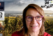 Premiéra ProWein Business Talks. Online diskuse na téma digitalizace ve víně vzbudila obrovský zájem