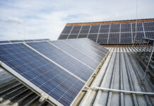 Rakousko lídrem v udržitelném vinohradnictví. Rekordní růst ekologických vinic