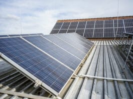 Rakousko lídrem v udržitelném vinohradnictví. Rekordní růst ekologických vinic