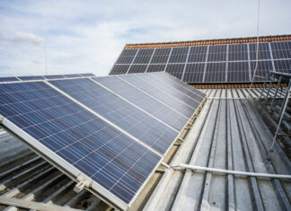 Rakousko lídrem v udržitelném vinohradnictví. Rekordní růst ekologických vinic