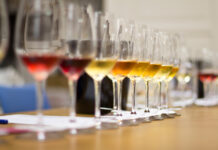 GALADEGUSTACE nejlepších vín Prague Wine Trophy. 18 ročník nabídne na 500 skvělých vín