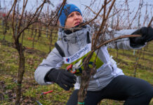 Souboj o zlaté nůžky se blíží