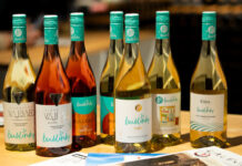 PIJTE ČESKÉ BUBLINKY! Na trh přicházejí první perlivá vína nové národní značky