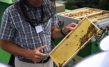 POJEĎTE V MEDU O VÍKENDU. Medovina, jarní medové lívanečky, medovník… Národní zemědělské muzeum voní sladce