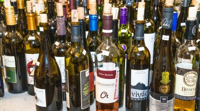 AMERIKU UCHVÁTILA PÁLAVA. Soutěž v newyorském Rochesteru vynesla našim vinařům 122 medailí