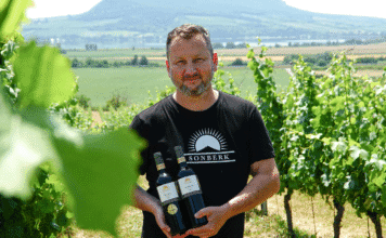 DECANTER WORLD WINE AWARDS 2025: 4x zlato pro tuzemské vinaře