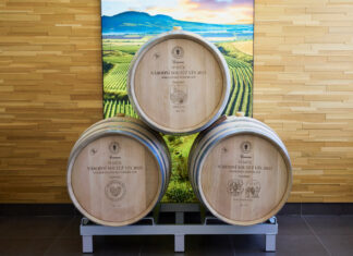 VÍTĚZNÉ VÍNO MIKULOVSKA: Vlašáček z Vinařství Tichý Národní soutěž vín, kategori Mikulovská